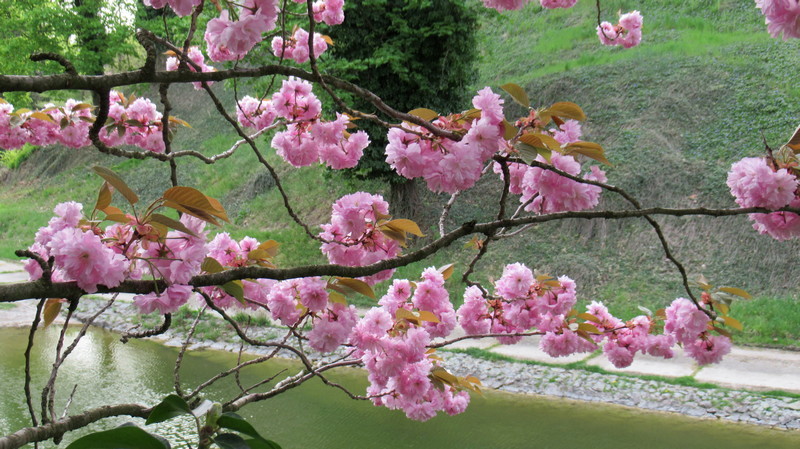 park Bojnice