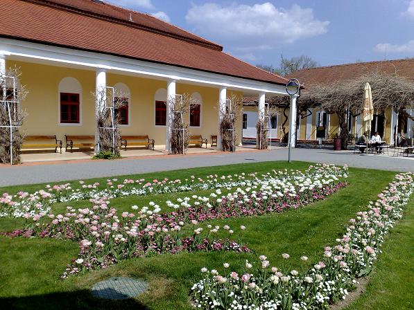 Piešťanské kúpele
