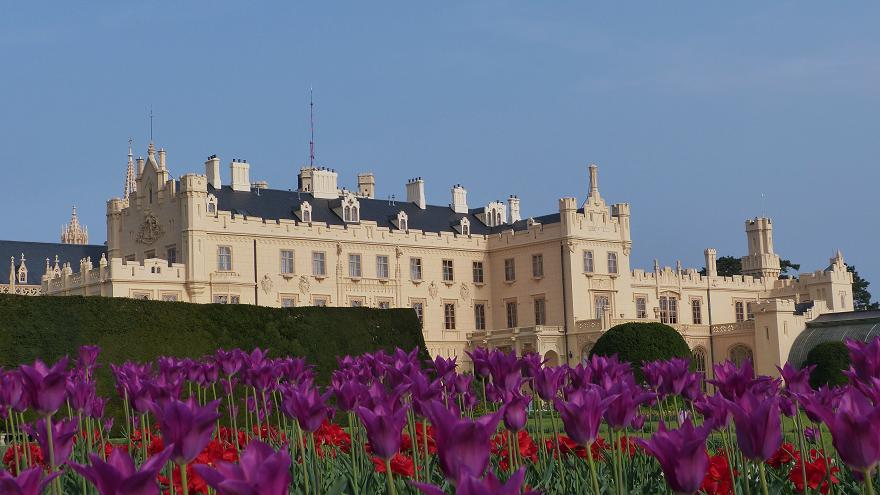 tulipány v zámockom parku