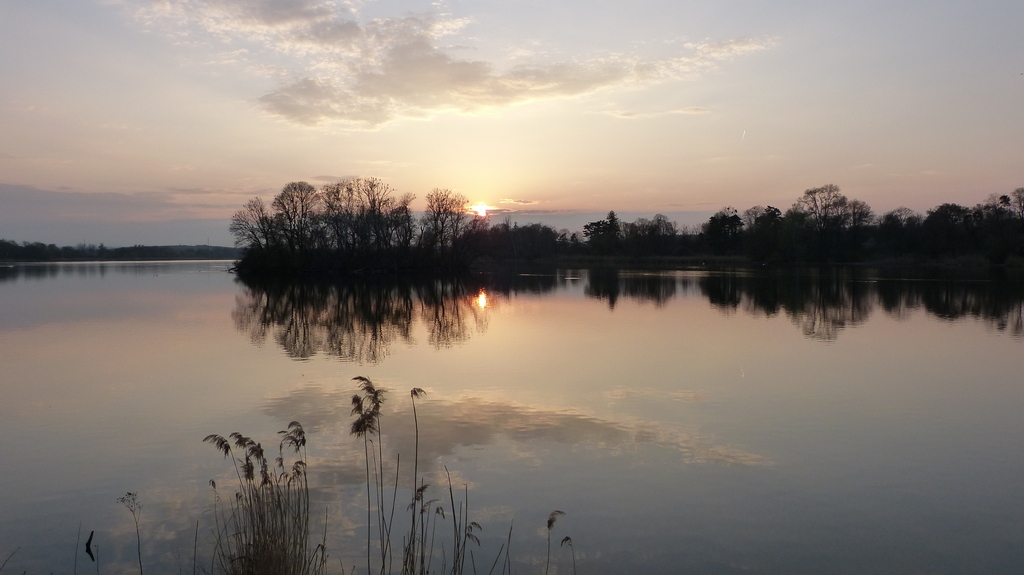 letný podvečer (1)