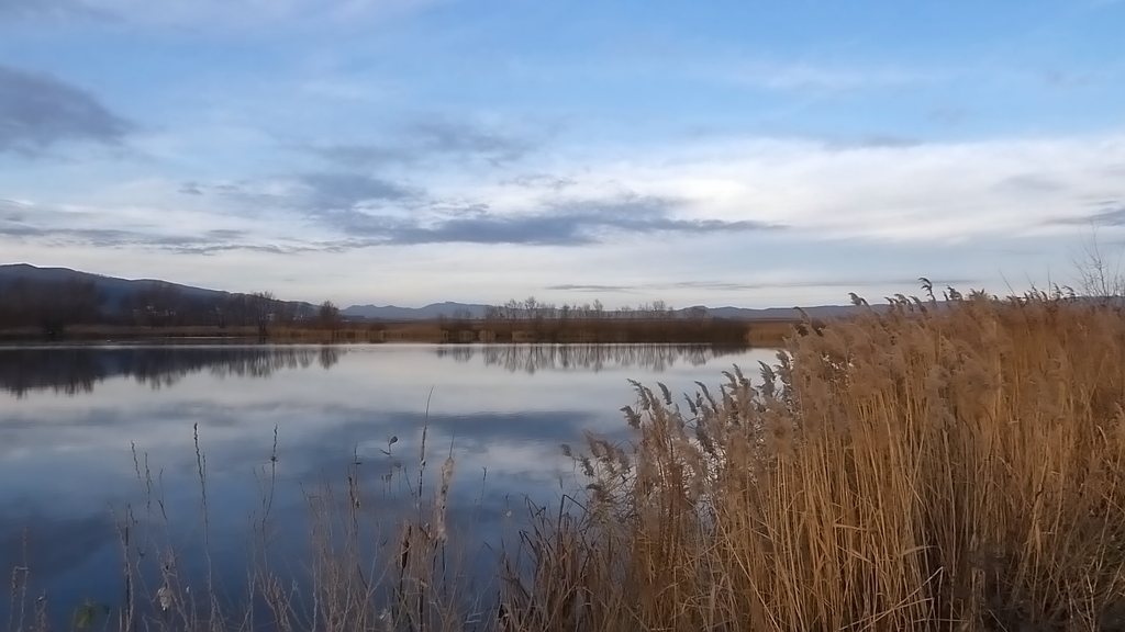 Košovské vody