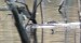 vlcsnap-2024-10-30-19h23m17s415