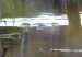 vlcsnap-2024-10-30-19h23m56s669